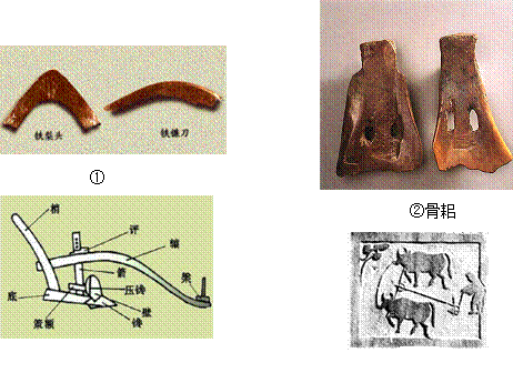 原始社会我国发明了骨耜 春秋时期铁农具开始使用 西汉时出现