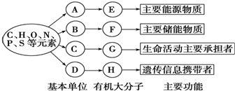 作业帮