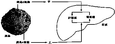 作业帮