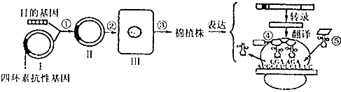 作业帮