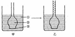下图中的甲,乙图是渗透装置示意图,丙图是根毛细胞示意图.