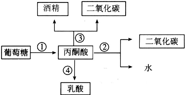 作业帮