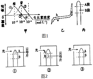 作业帮