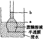 作业帮