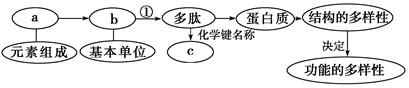 作业帮