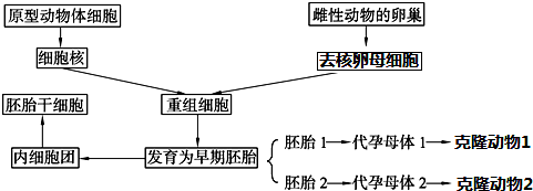 作业帮