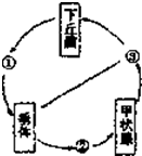 作业帮