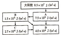 作业帮