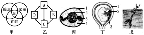 作业帮