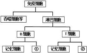 作业帮