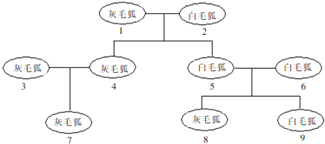 作业帮