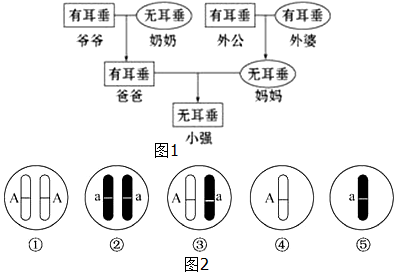 作业帮