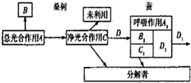 作业帮