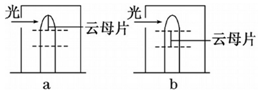 作业帮