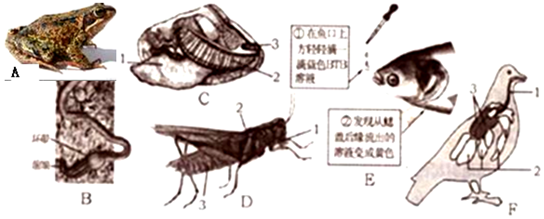 作业帮