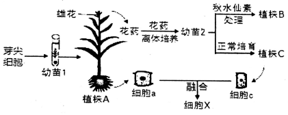 作业帮