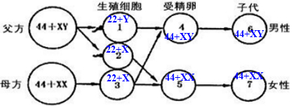 作业帮