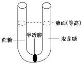 作业帮