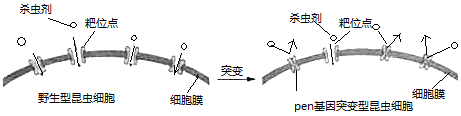 作业帮