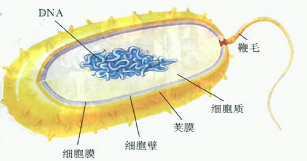 作业帮