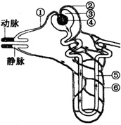 作业帮