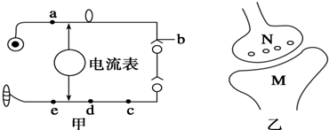 作业帮