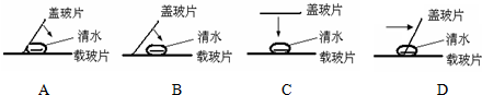 作业帮