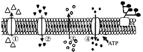 如图为物质跨膜运输方式的示意图.