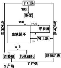 作业帮