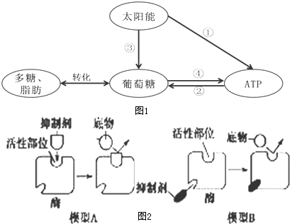 作业帮