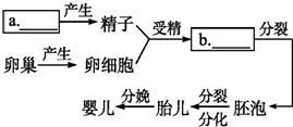 作业帮