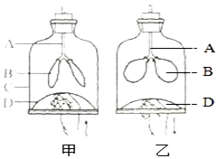 作业帮