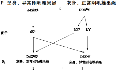 作业帮