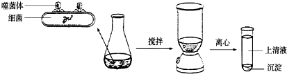 作业帮