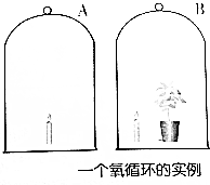 作业帮