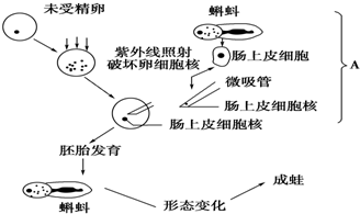 作业帮