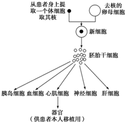 作业帮