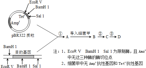 作业帮