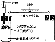 作业帮