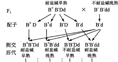 作业帮