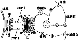 作业帮