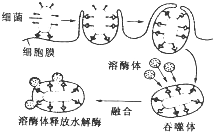 作业帮