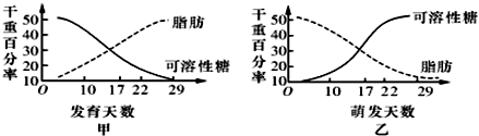 作业帮