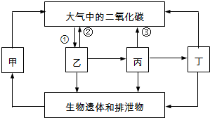 作业帮