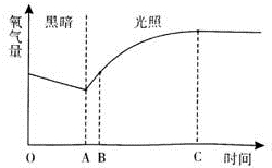 作业帮