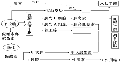 (1)完善下面与下丘脑有关的图