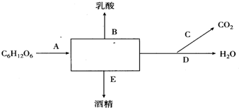 作业帮