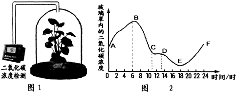 作业帮