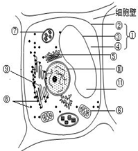 作业帮