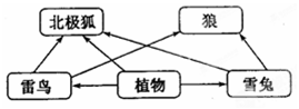 作业帮